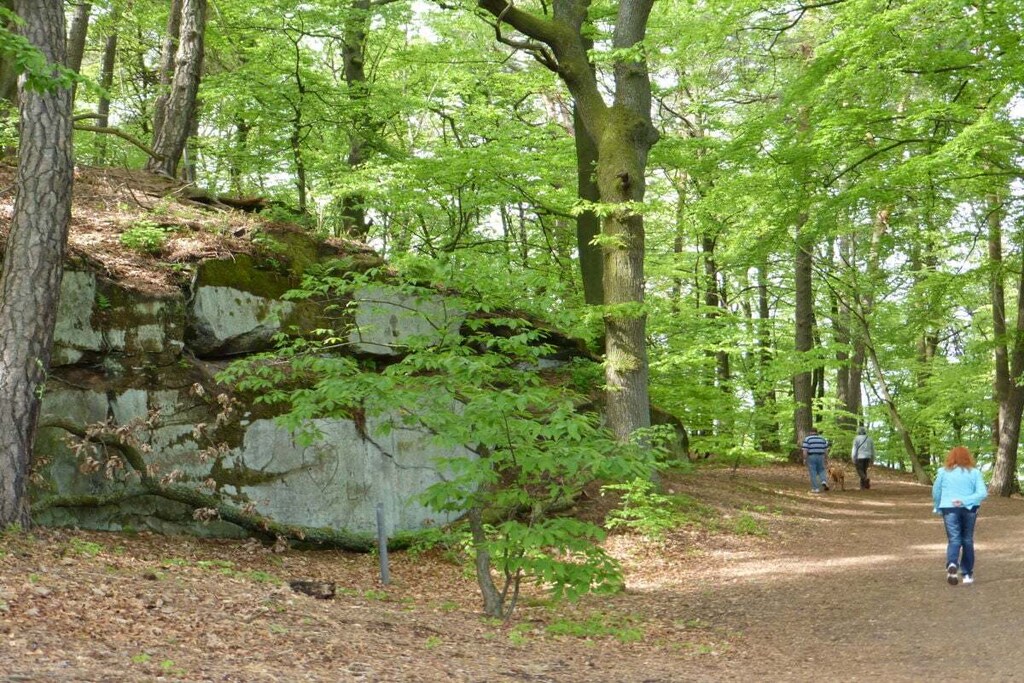 48773-Nicht zugeordnet