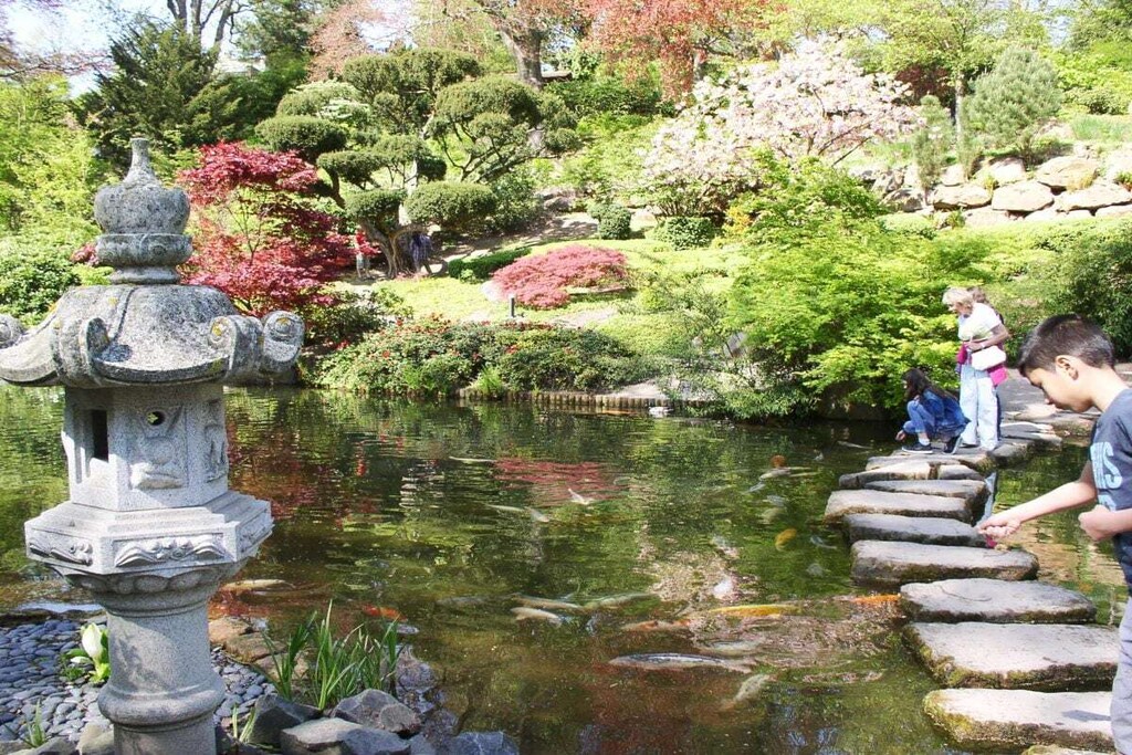 48773-Nicht zugeordnet