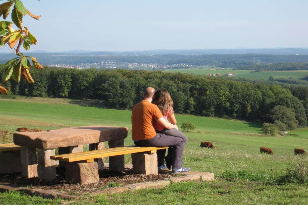 48773-Nicht zugeordnet