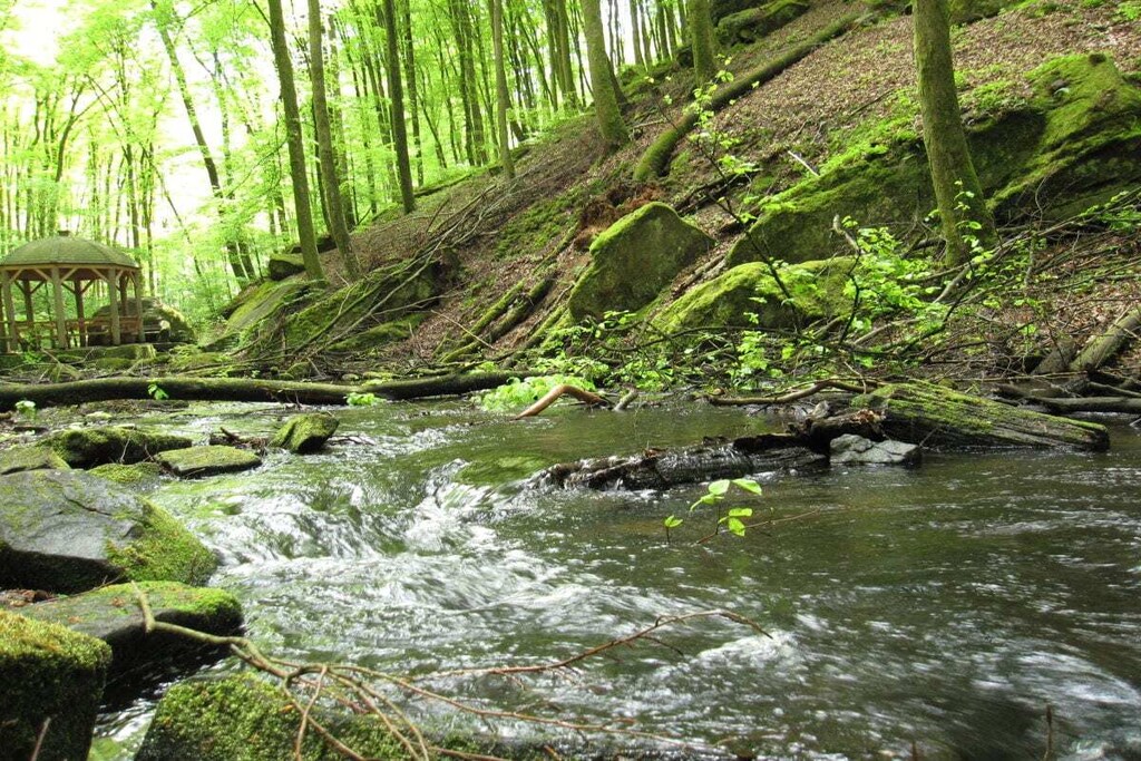 48773-Nicht zugeordnet