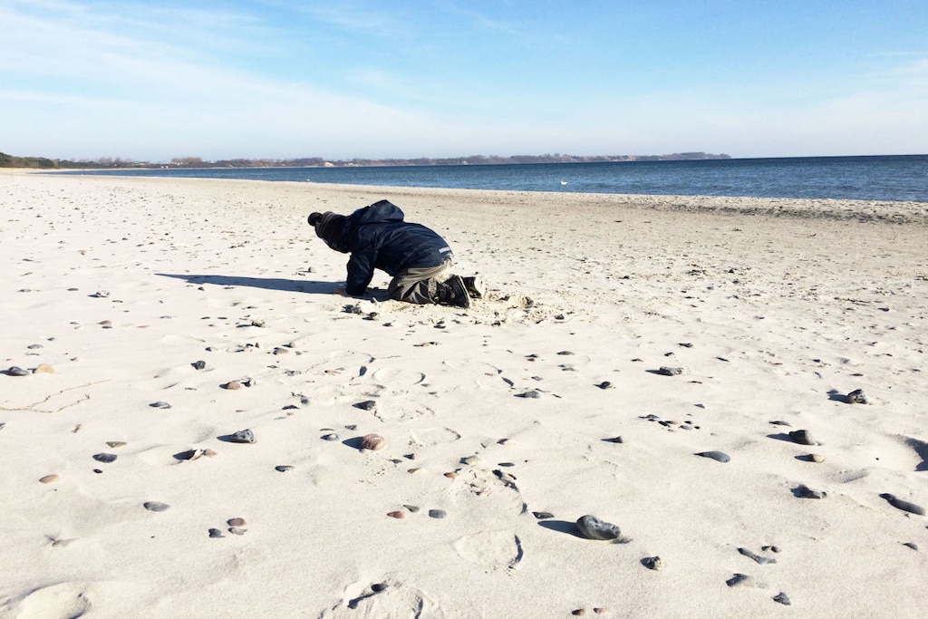 255979-Niet-getagd