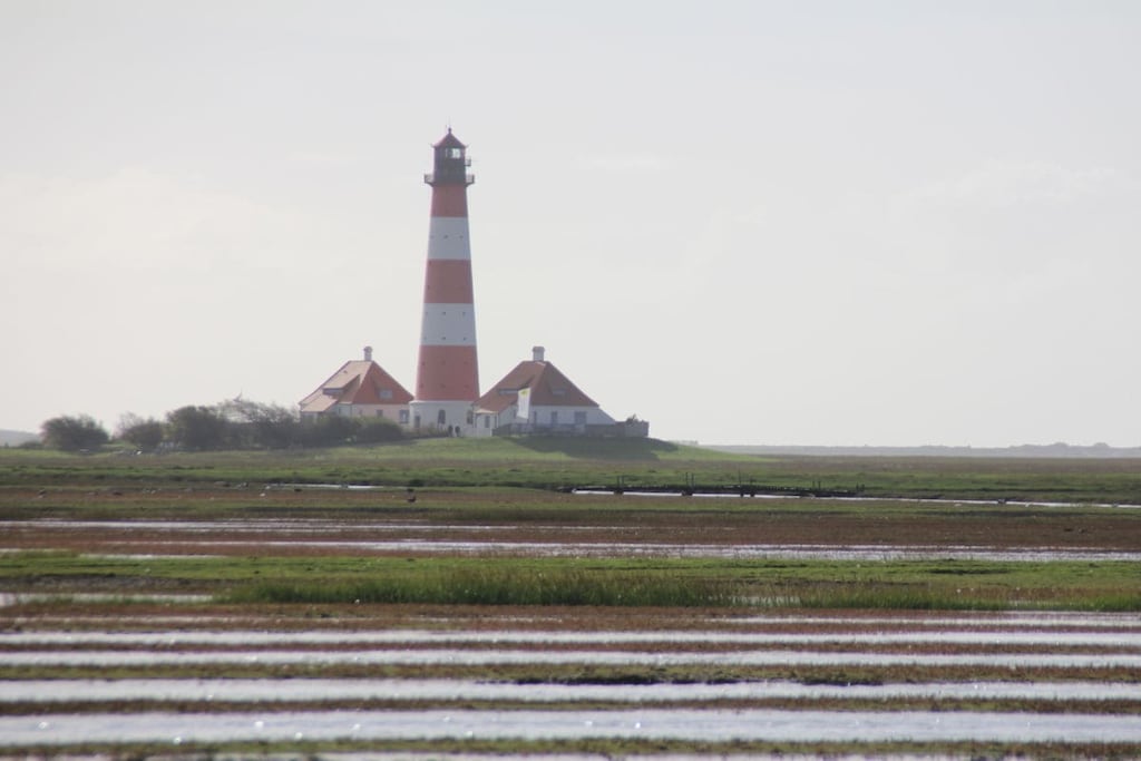 261897-Niet-getagd