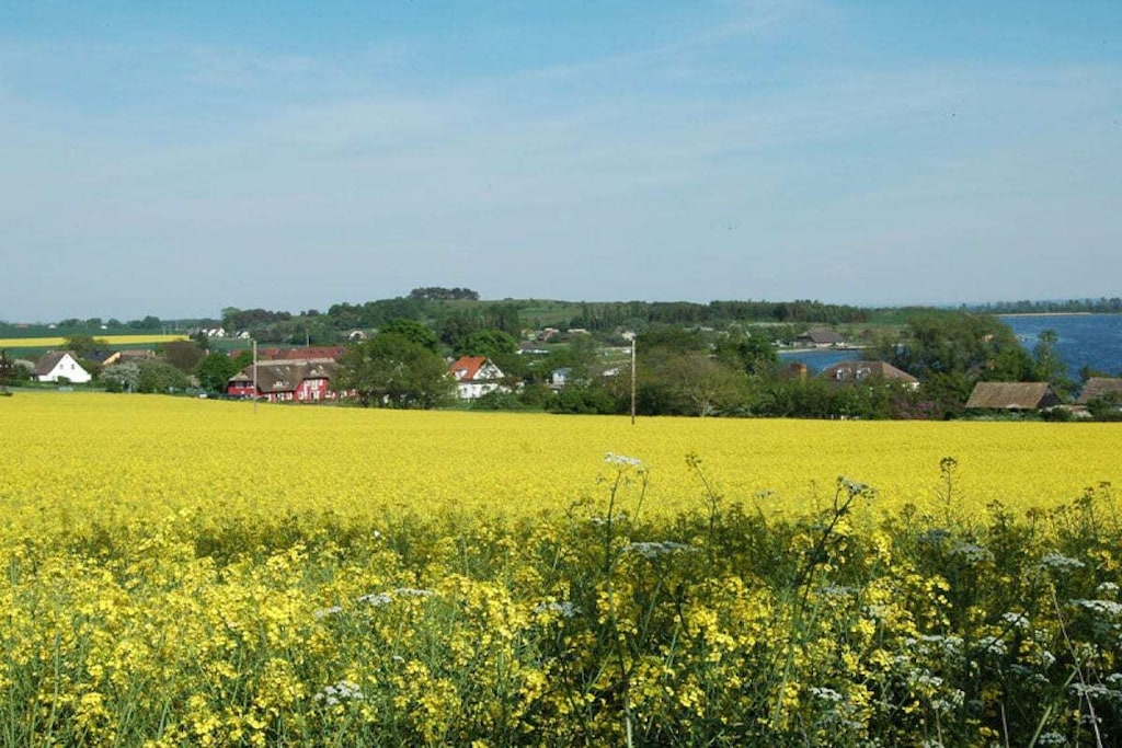 163928-Nicht zugeordnet