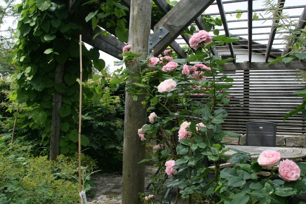 in the Pre Vital Alpenblick house