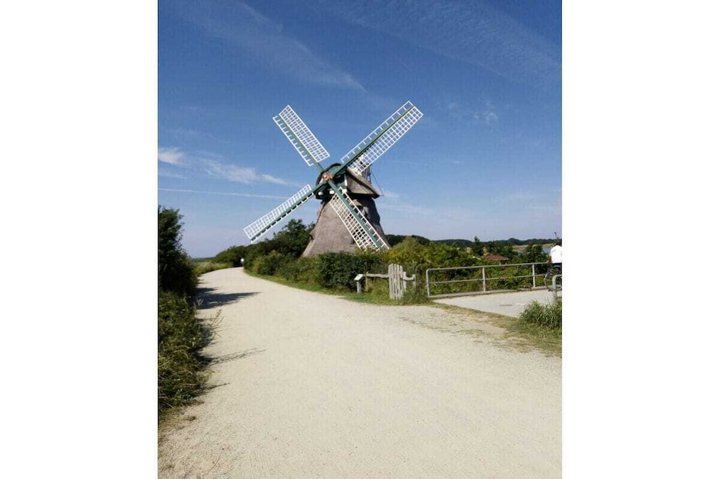 194220-Non tagué