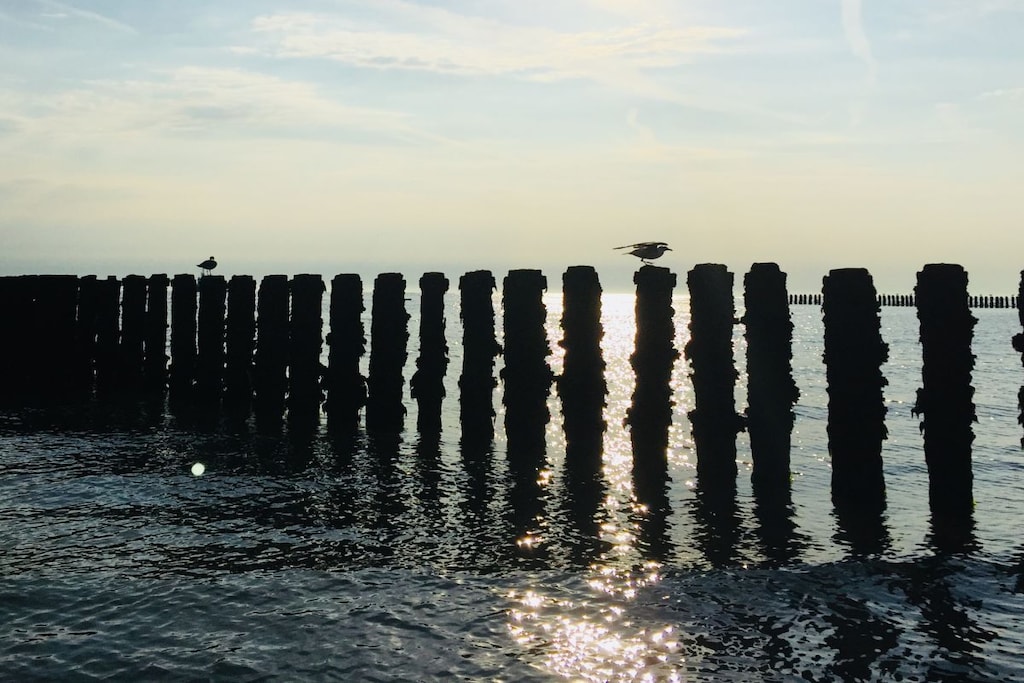 221531-Niet-getagd