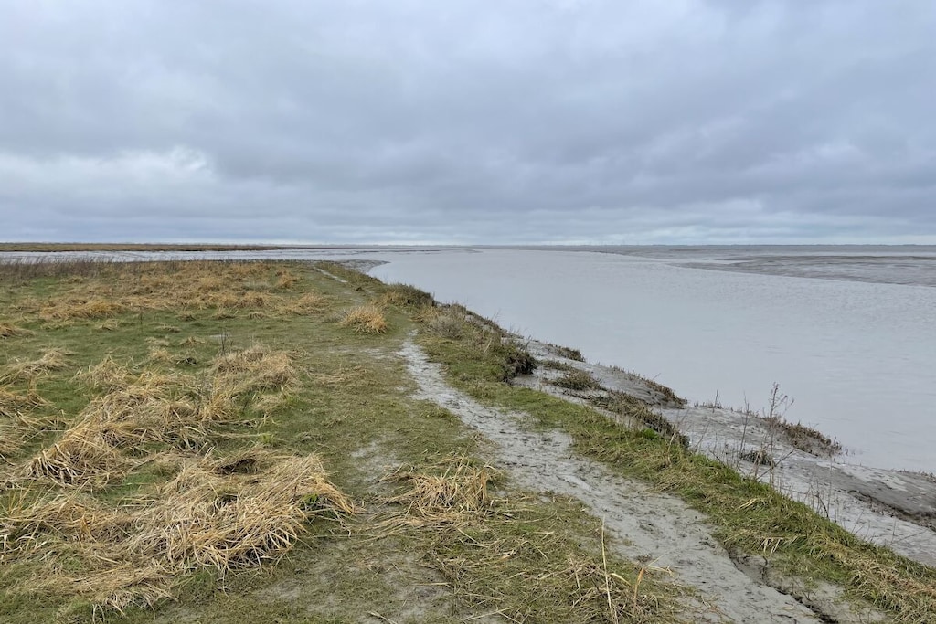 411188-Niet-getagd