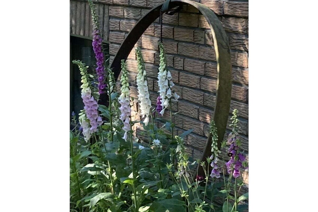 427983