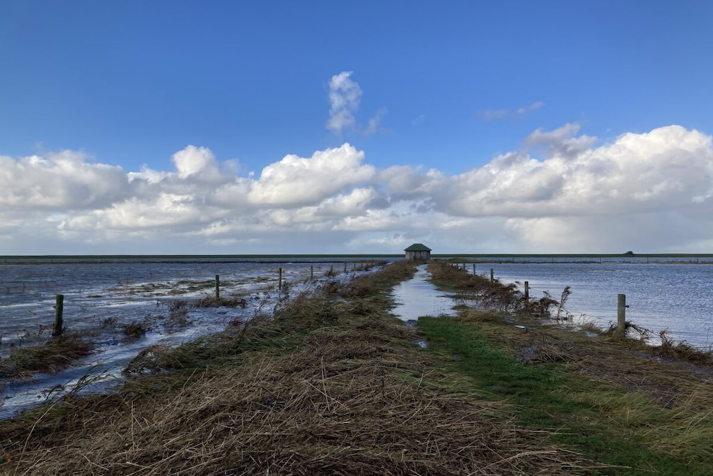 523576 - Niet-getagd