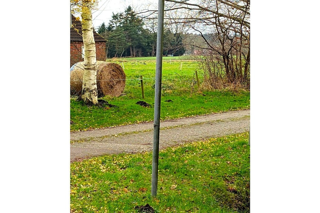 526189