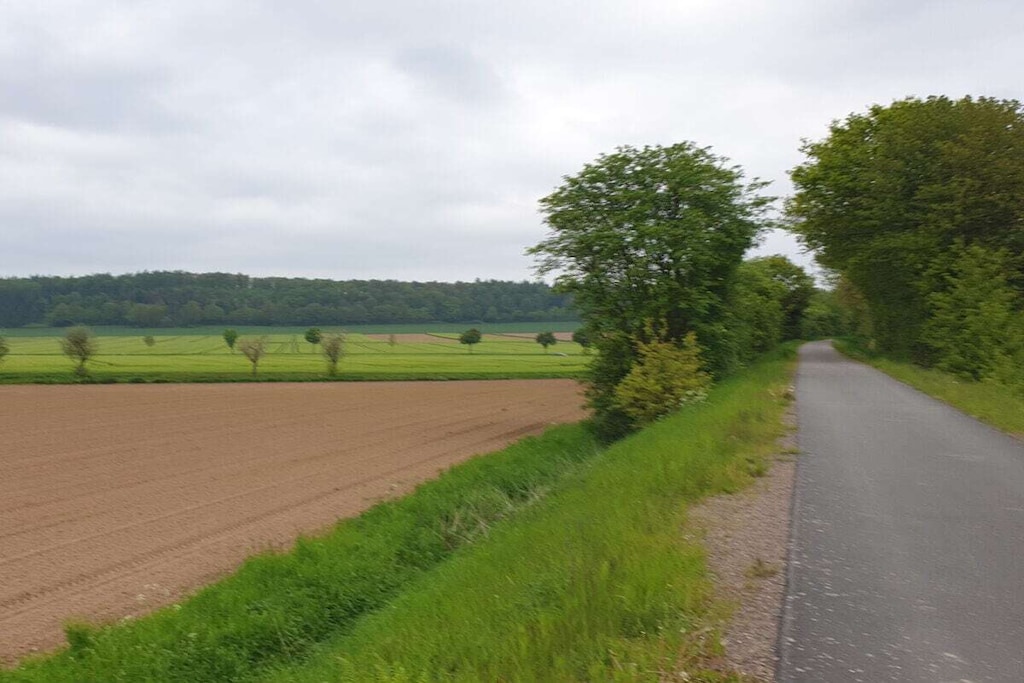 540087-Nicht zugeordnet