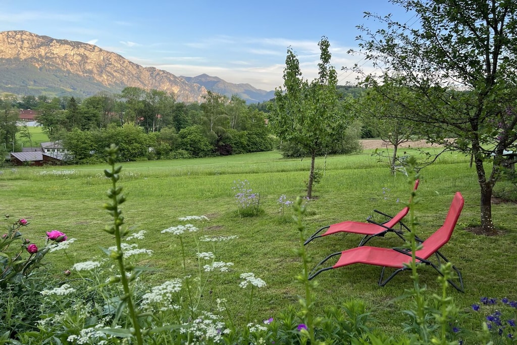 572337-Nicht zugeordnet