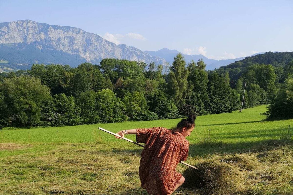 572337-Nicht zugeordnet