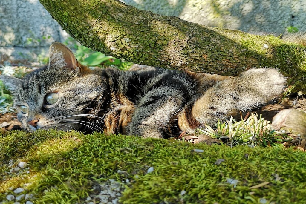 572337-Nicht zugeordnet