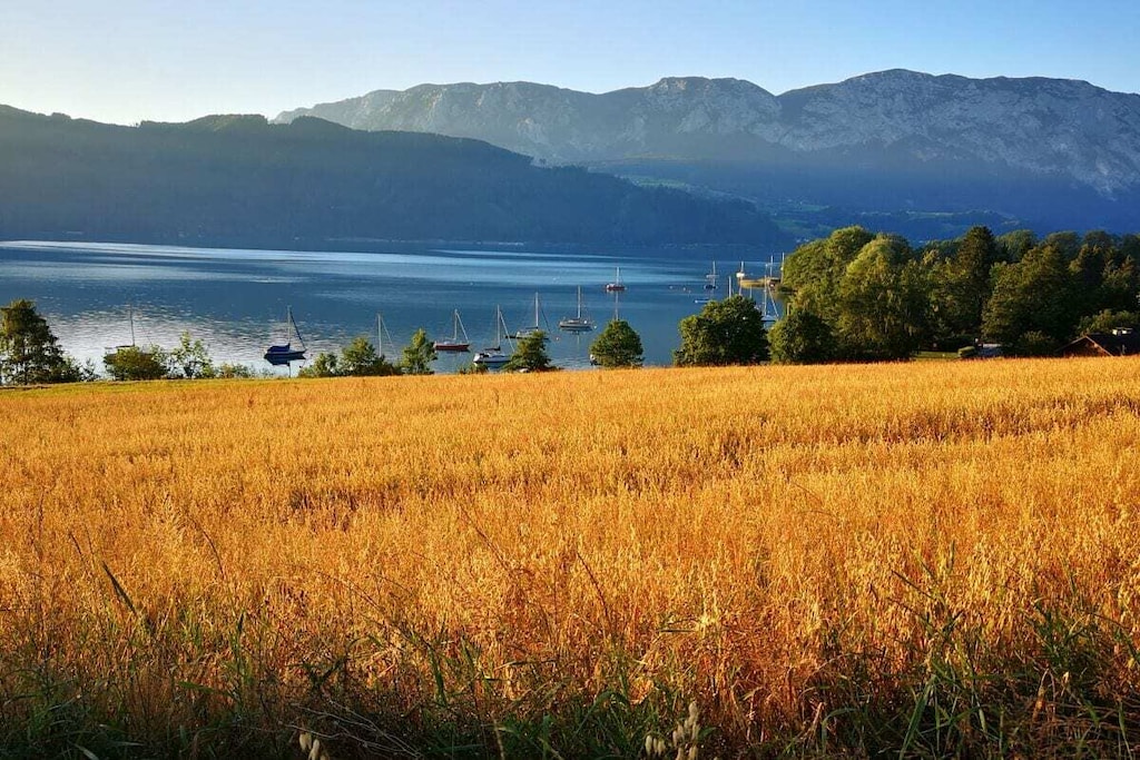 572337-Nicht zugeordnet