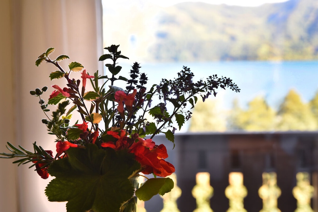 572337-Nicht zugeordnet