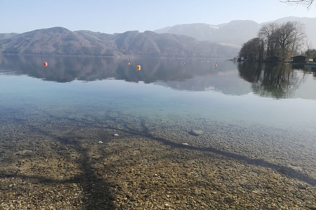 572337-Nicht zugeordnet