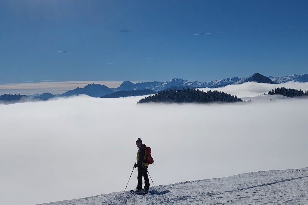 572337-Nicht zugeordnet