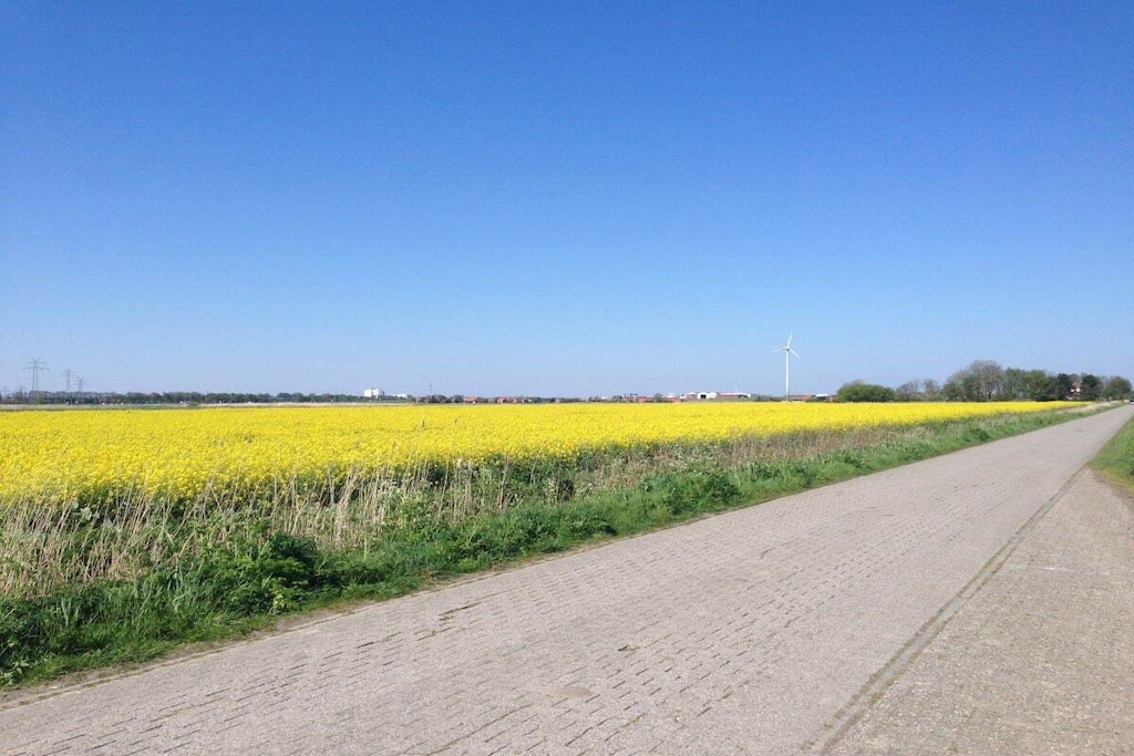 165895-Niet-getagd