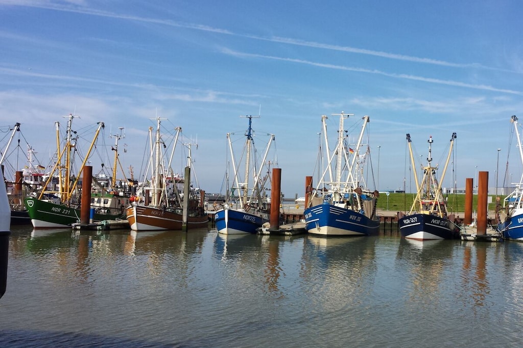 481288 - Niet-getagd
