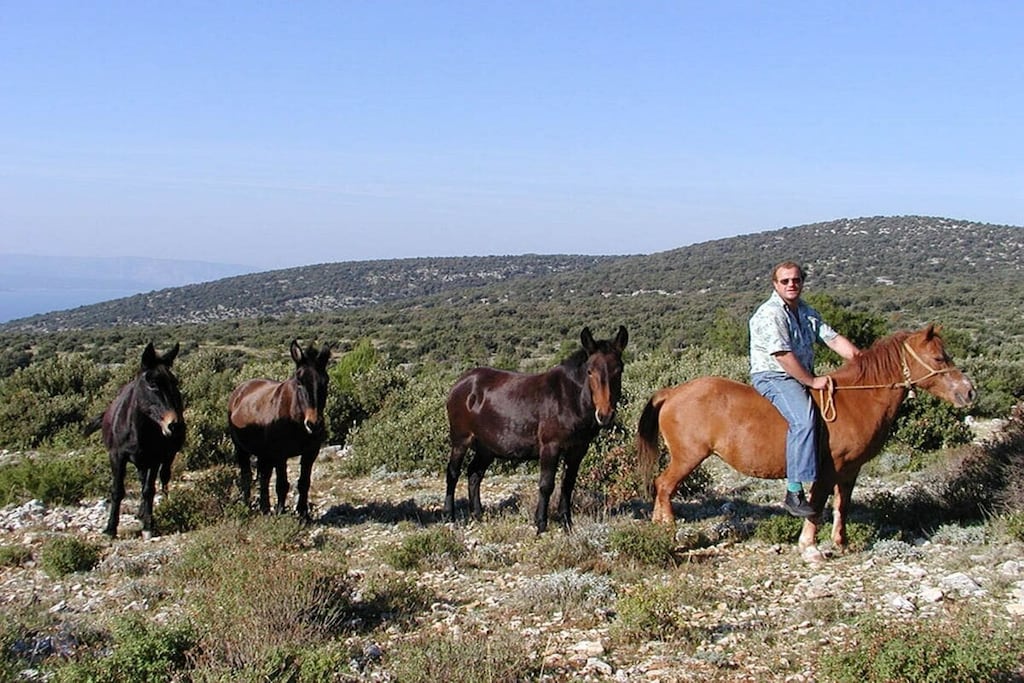 277061-Nicht zugeordnet