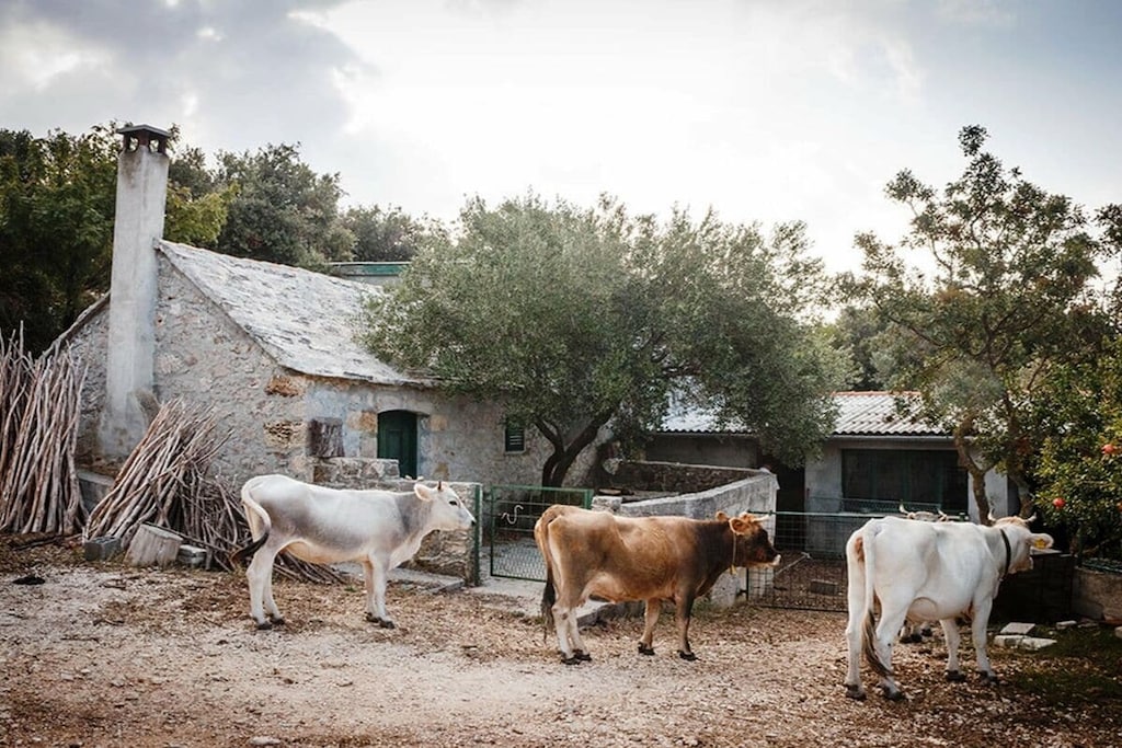 277061-Nicht zugeordnet