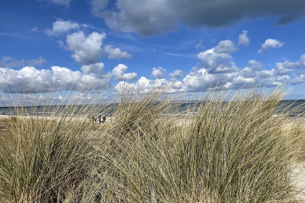 393654-Nicht zugeordnet