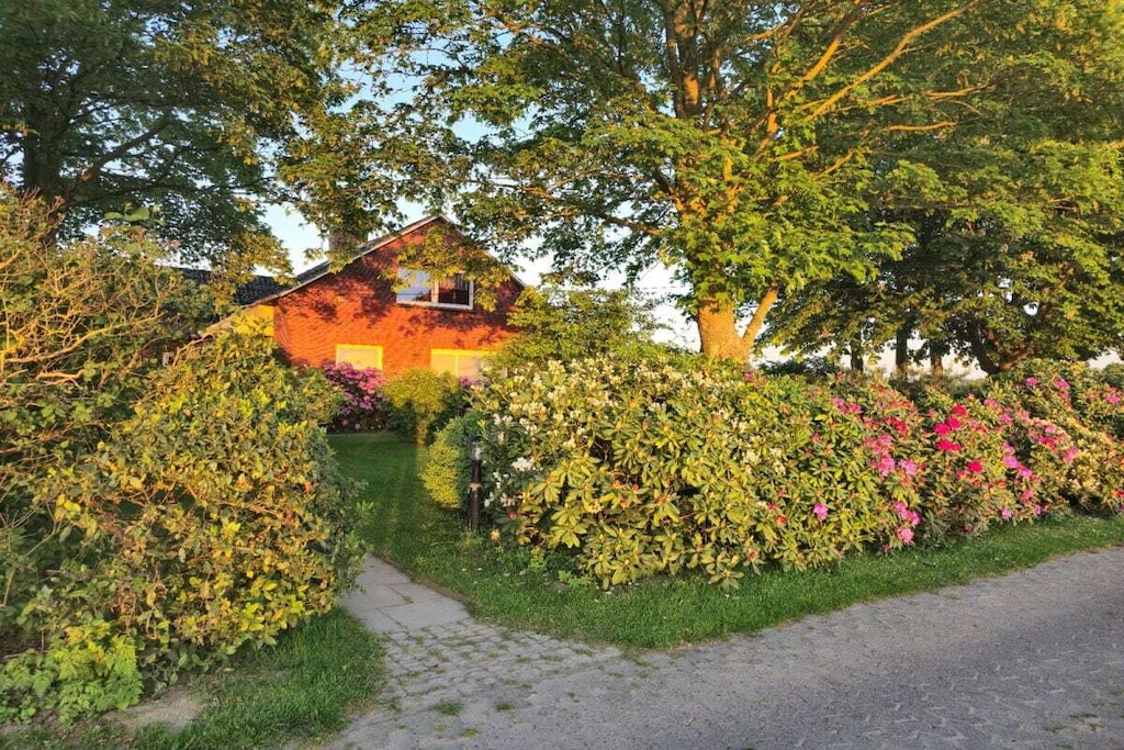 268431-Nicht zugeordnet