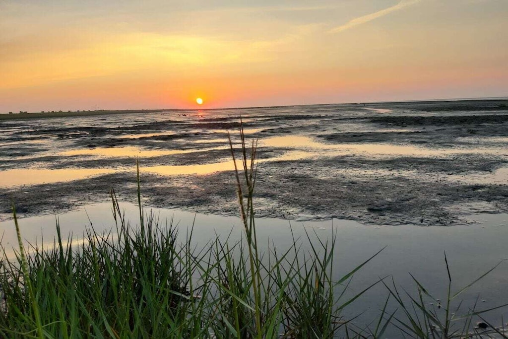 268431-Nicht zugeordnet