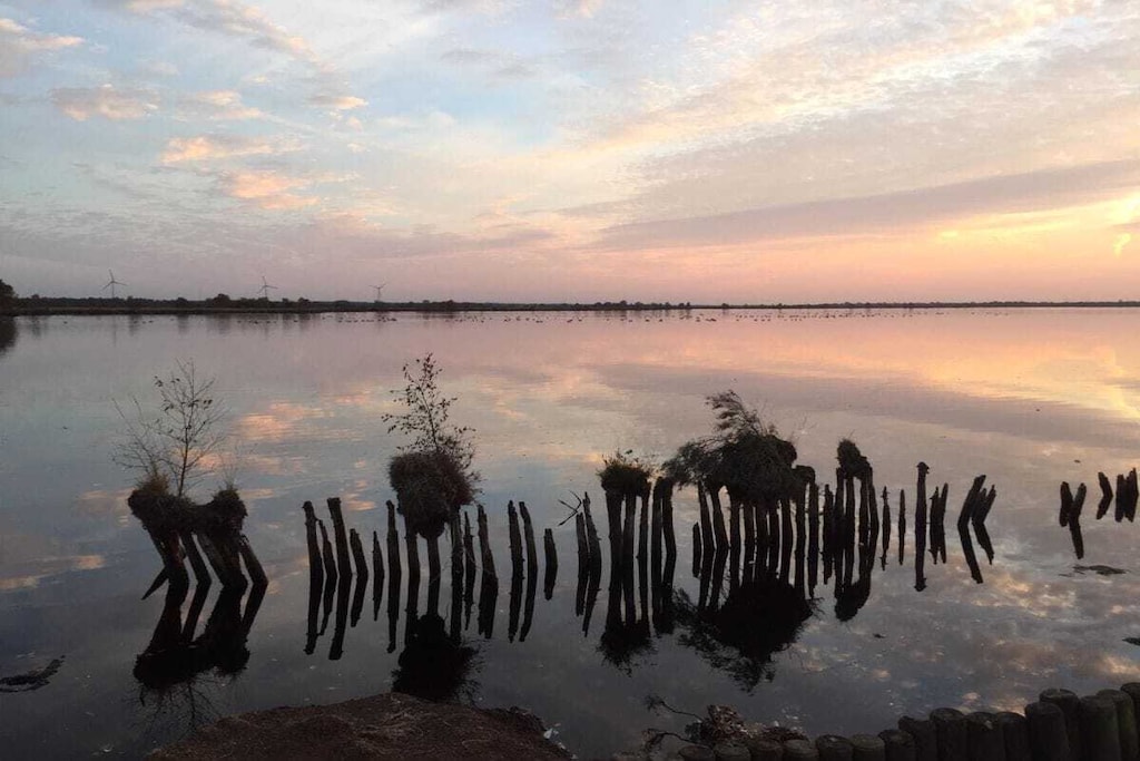 268431-Nicht zugeordnet