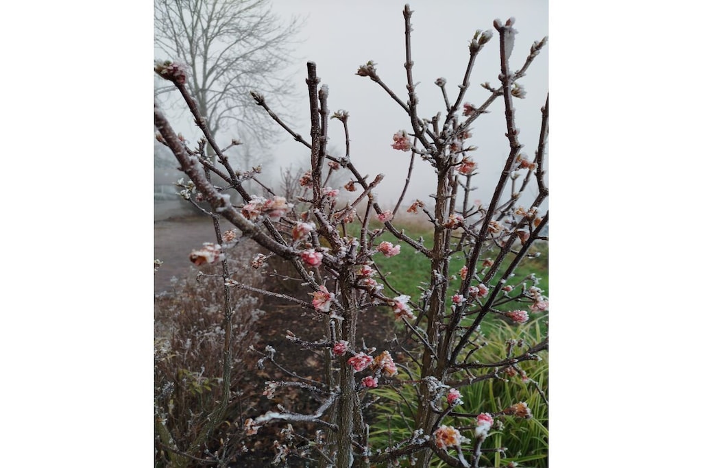 573123-Nicht zugeordnet