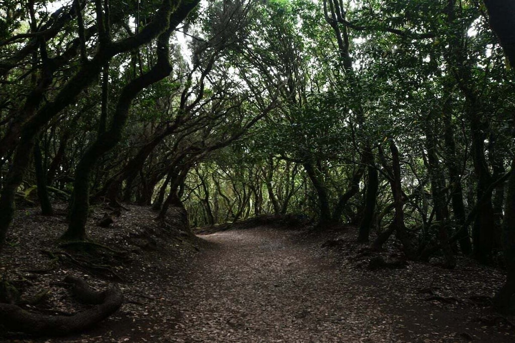 573123-Nicht zugeordnet