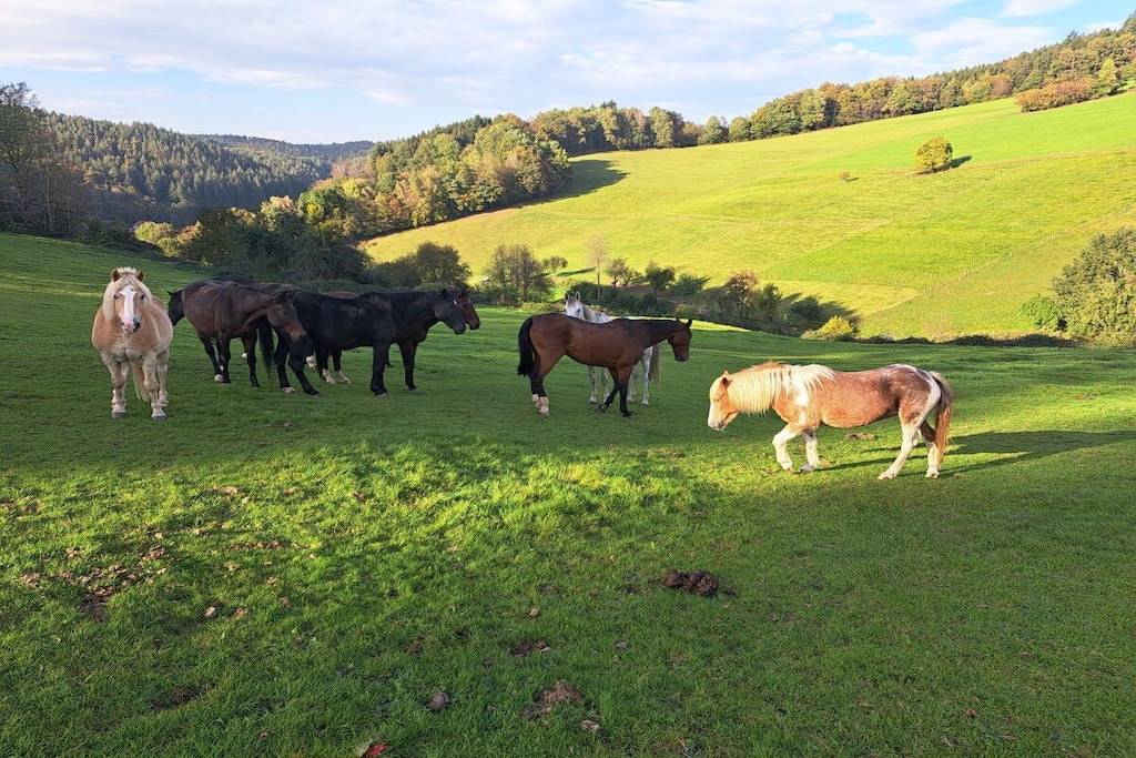 478264-Nicht zugeordnet