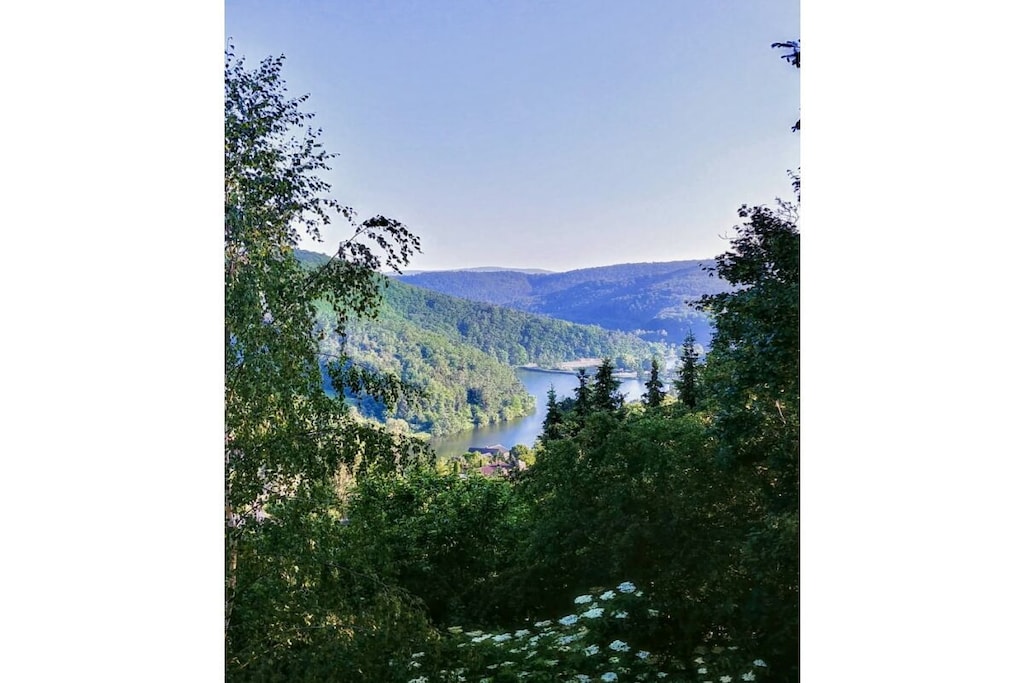 491906-Nicht zugeordnet