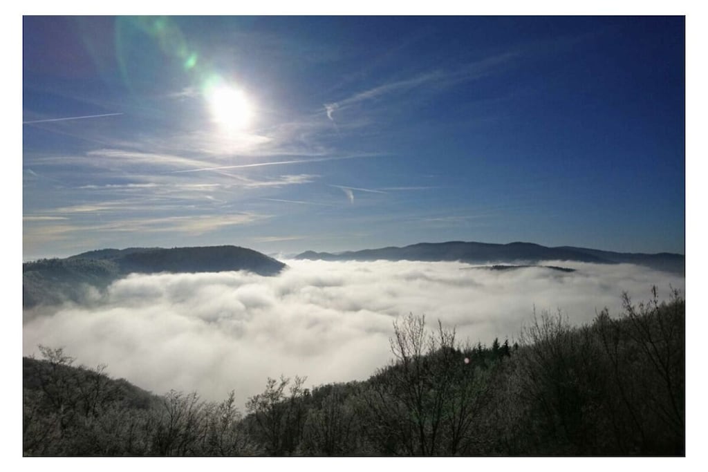 491906-Nicht zugeordnet