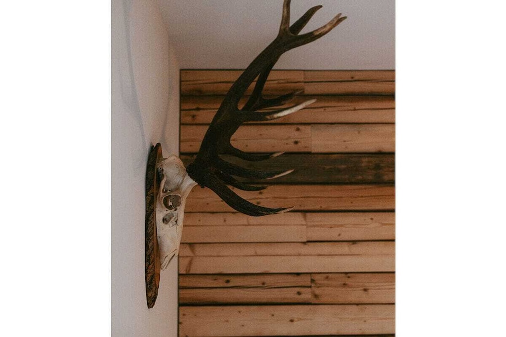 573188-Nicht zugeordnet