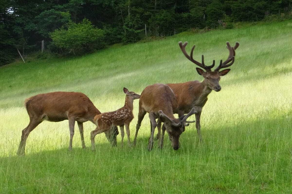 573188-Nicht zugeordnet