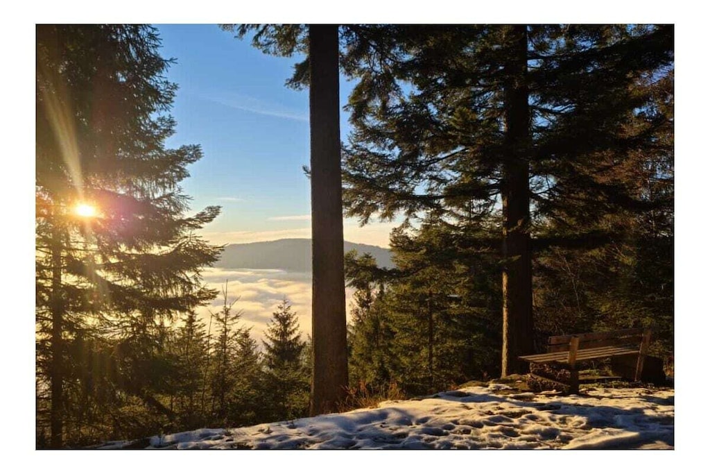 573188-Nicht zugeordnet