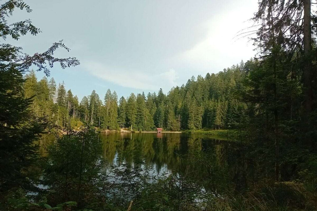 573188-Nicht zugeordnet