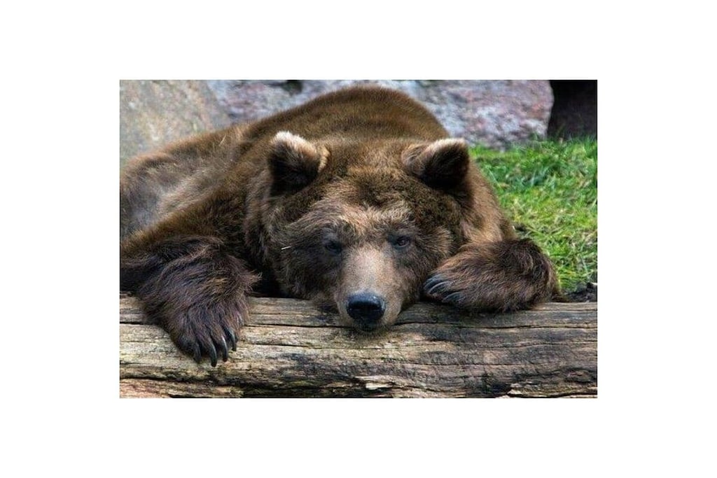 573188-Nicht zugeordnet