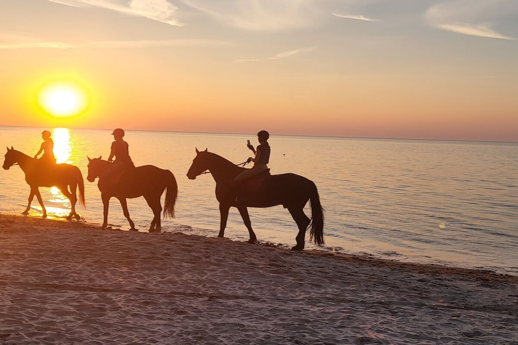 576456-Nicht zugeordnet