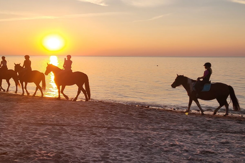 576456-Nicht zugeordnet