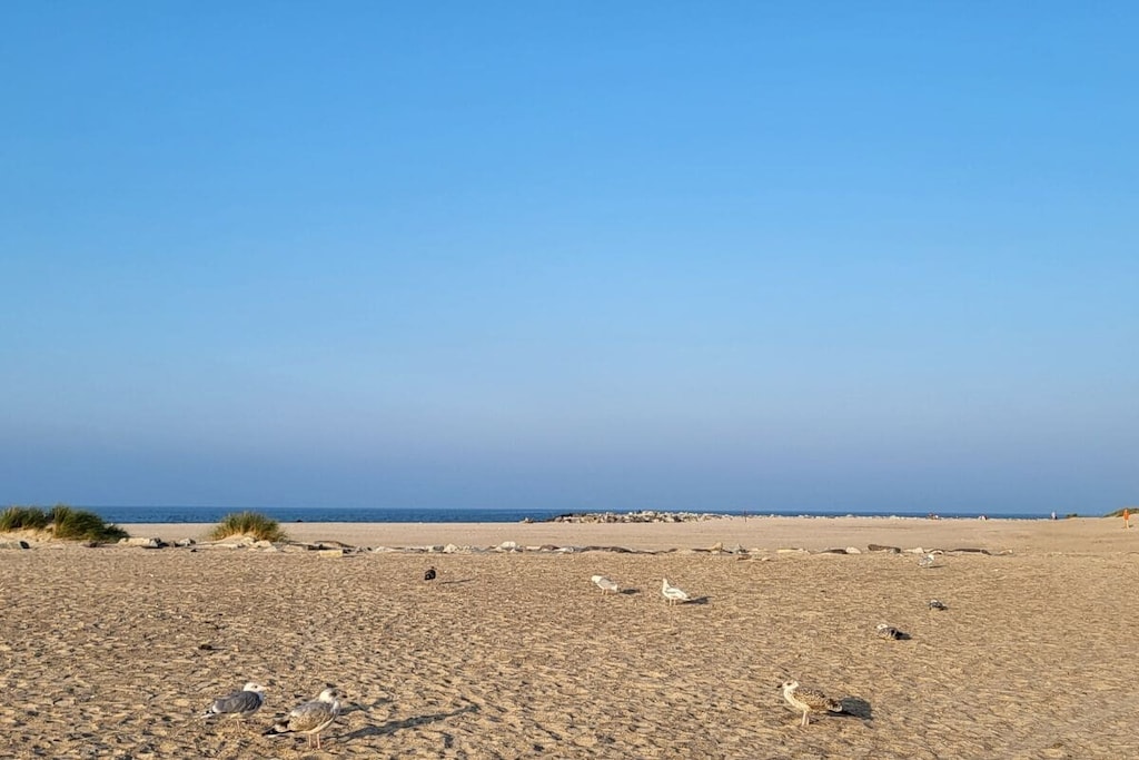 576456-Nicht zugeordnet