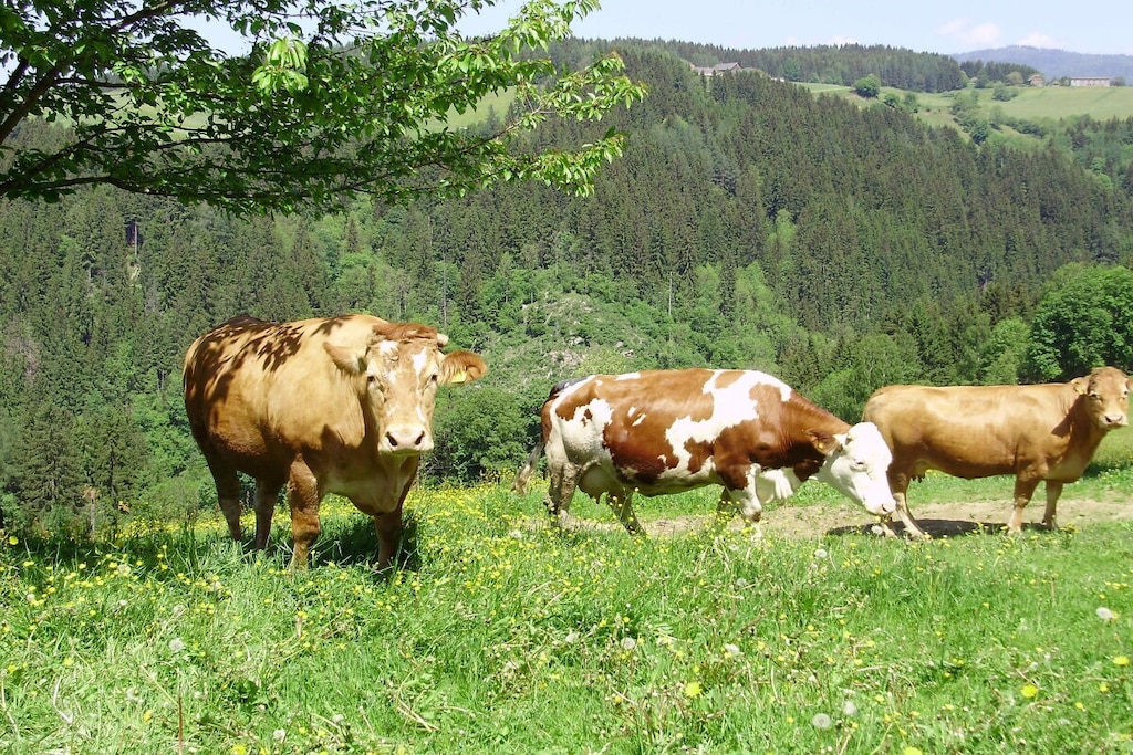 33244-Nicht zugeordnet