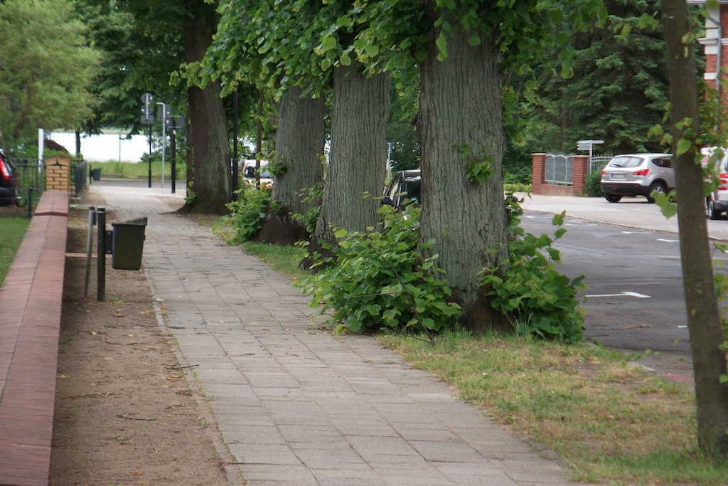 56500-Niet-getagd