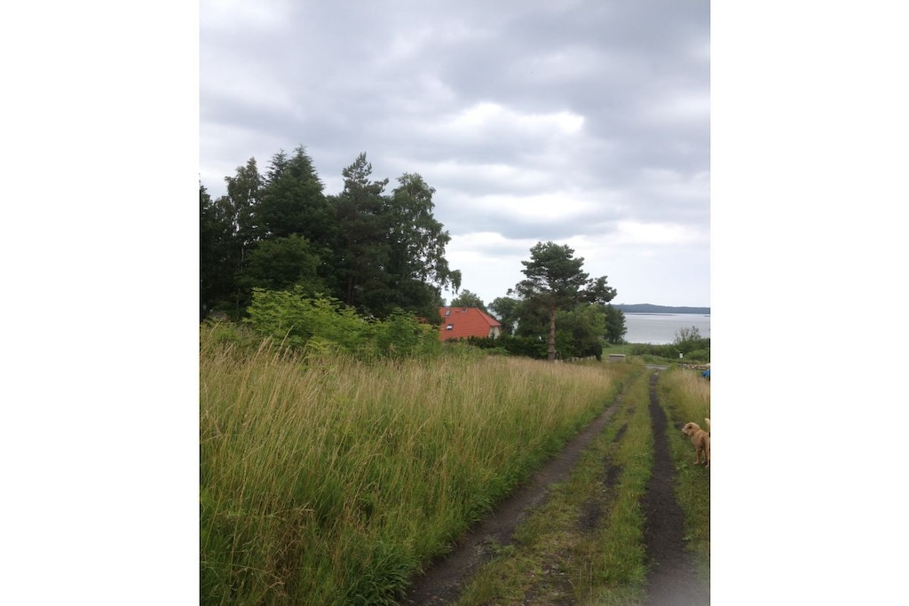 58059-Niet-getagd