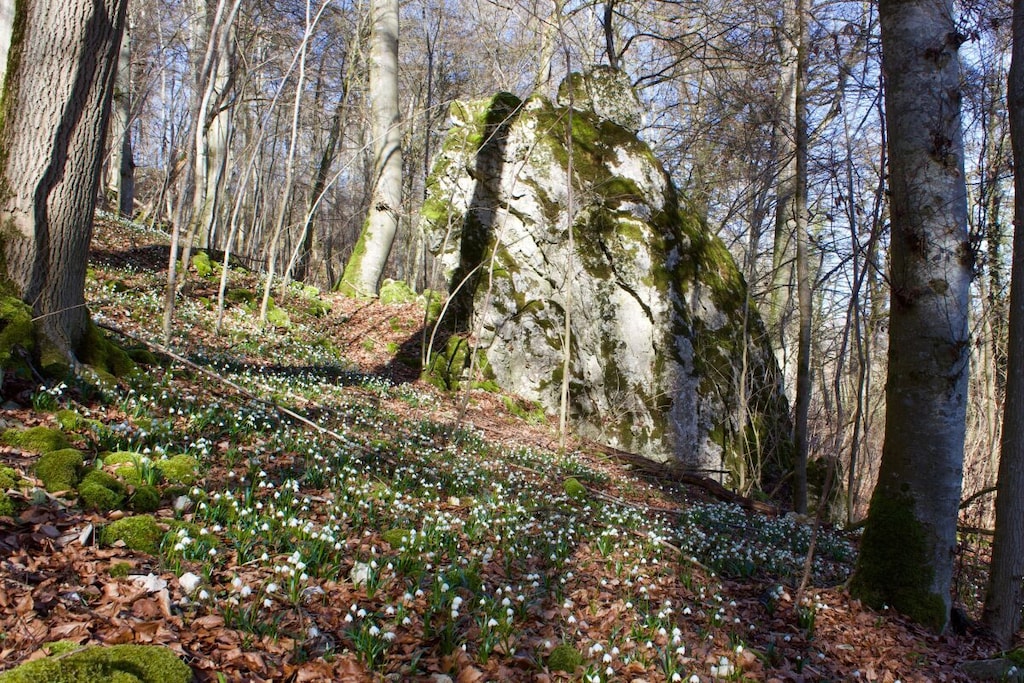 64455-Nicht zugeordnet
