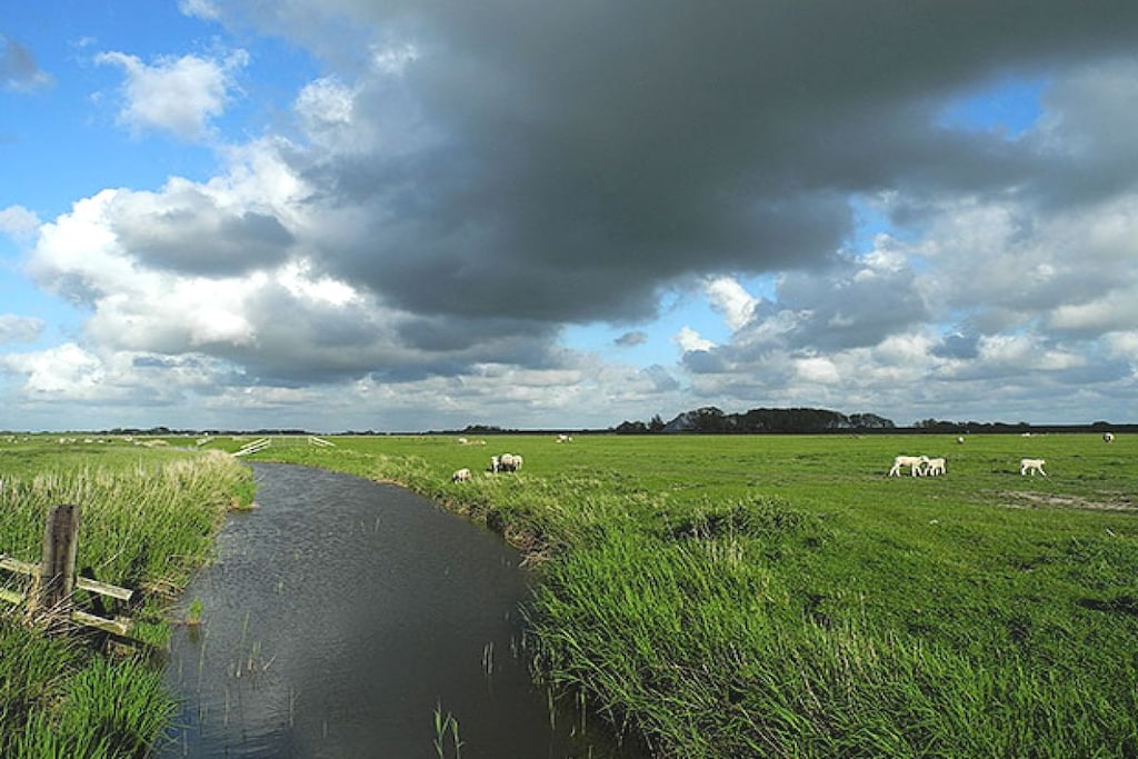 79456-Niet-getagd