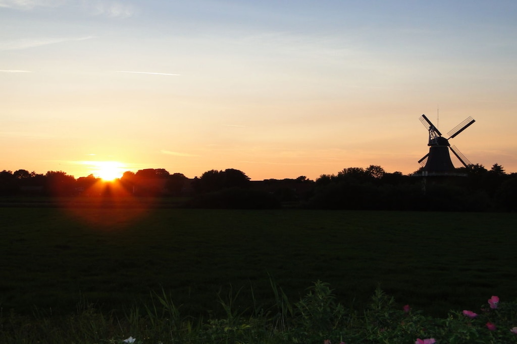 83177-Niet-getagd