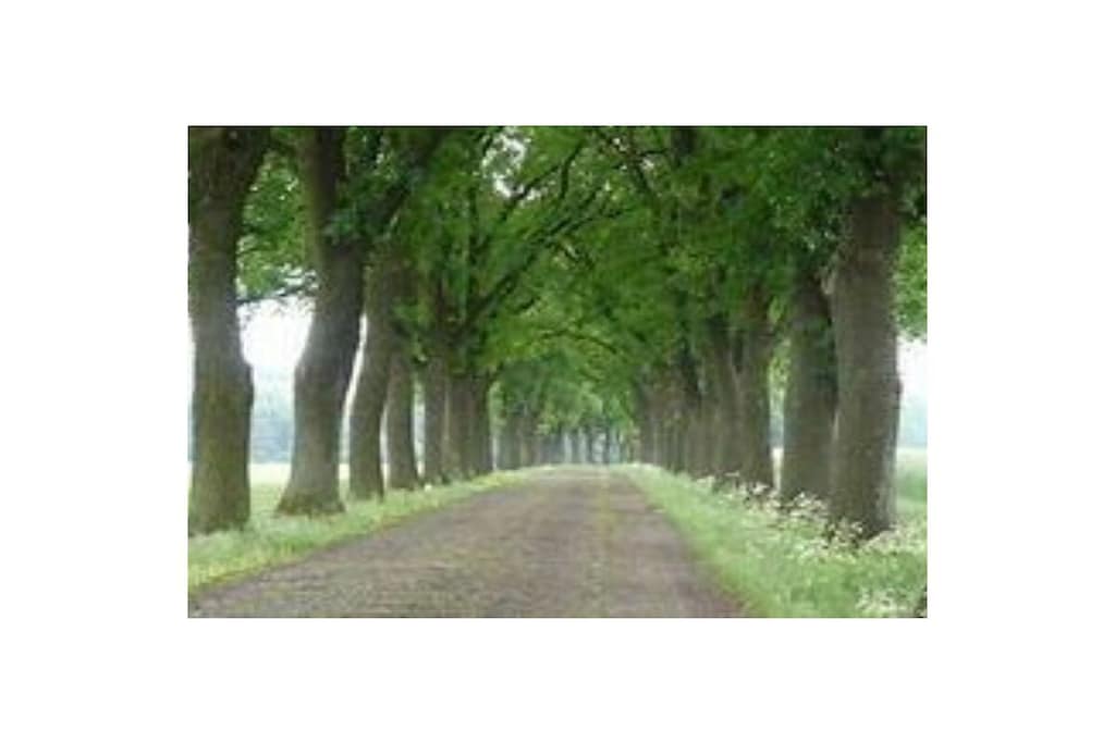106961-Niet-getagd